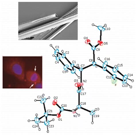 Dipeptide Nanotubes Containing Unnatural Fluorine Substituted β2 3