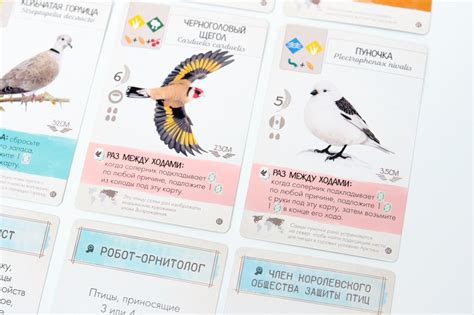 Крылья: Птицы Европы | Купить настольную игру Крылья: Птицы Европы в ...