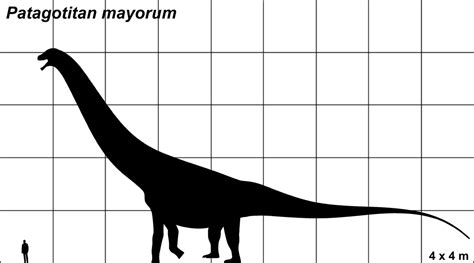 Patagotitan - Dinosaurussen