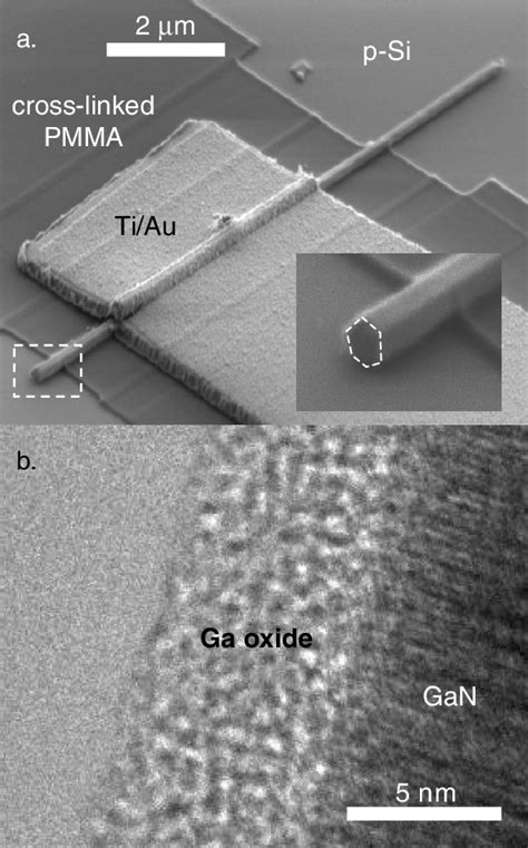 A Sem Image Of A Typical N Gan Nanowire P Si Light Emitting Diode