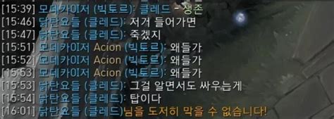 한번쯤은 봤을 레전드 채팅모음  롤 리그 오브 레전드 에펨코리아