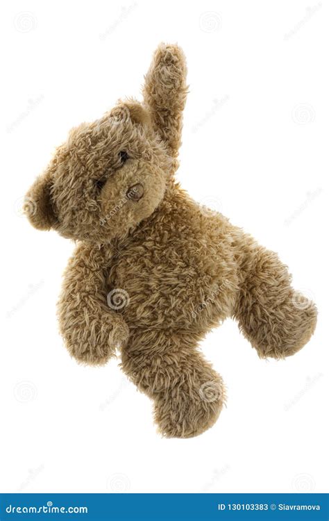 Urso Da Peluche Isolado No Fundo Branco Imagem De Stock Imagem De