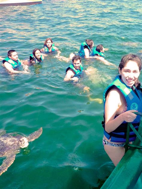 Tour Swim With Turtles In Mancora