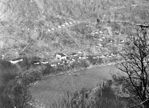 Terry Wv