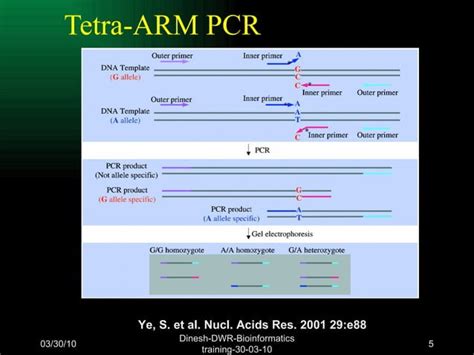 Snp Genotyping Methodlogy Dwr 30 03 10 | PPT 