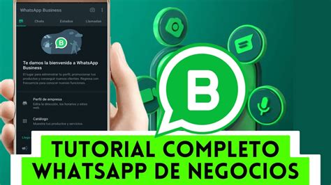 Gu A Paso A Paso Para Crear Una Cuenta En Whatsapp Business Haz