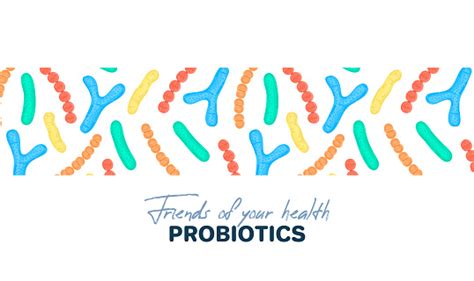 Vector Background With Probiotics Bifidobacterium Lactobacillus