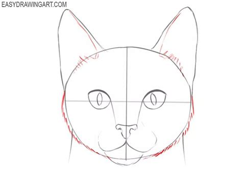 How to Draw a Cat Face | Easy Step-by-Step Guide