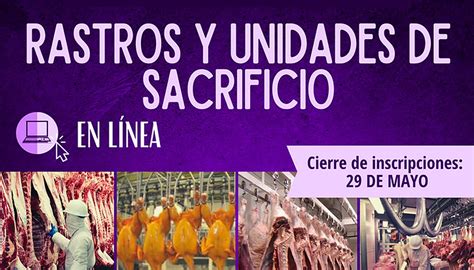 Curso de capacitación Rastros y unidades de sacrificio