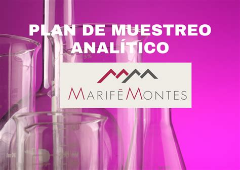 Plan De Muestreo Analítico Como Desarrollarlo Marife Montes