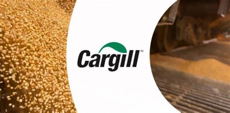 Cargill Abre Mais De Vagas Para Programa De Est Gio