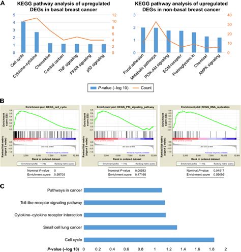 Kegg And Gsea Analyses Of Degs From Two Microarrays Notes A Kegg