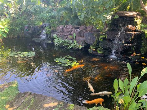 Luxury Koi Ponds Dispersed Within Super Beautiful Homes Along Big