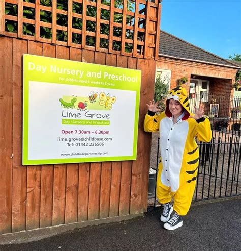 International Tiger Day At Lime Grove Day Nursery Childbase