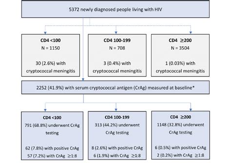 Prevalence Of Cryptococcal Meningitis And Cryptococcal Antigenemia Download Scientific Diagram