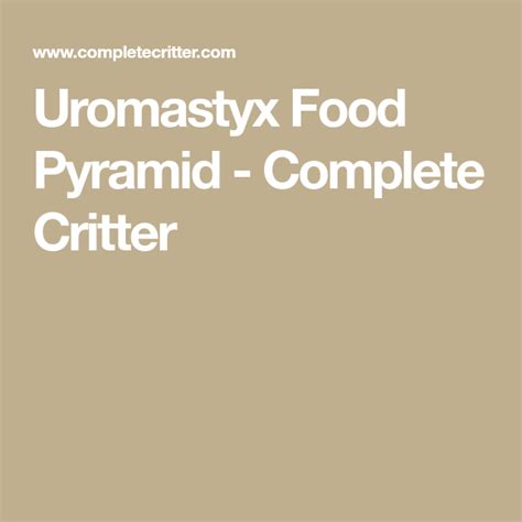 Uromastyx Food Pyramid Complete Critter Uromastyx Food Pyramid