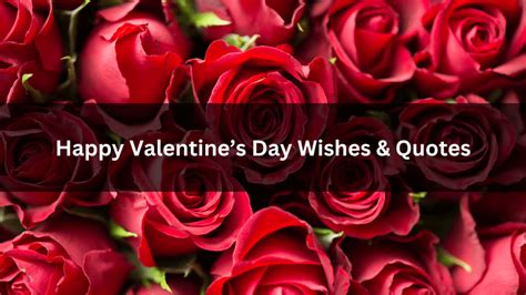 100+ Best Valentine's Day Wishes & Quotes for All - goodwishess.com