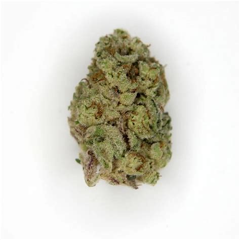 MAC Strain Review