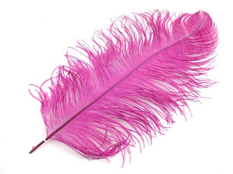 Finest Premium Ostrich Feathers 20 25″ Jaffe