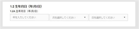 徹底解説【中国親族訪問q2ビザ】オンライン申請 入力方法≪1 2≫ 旅のプロの旅行情報サイト