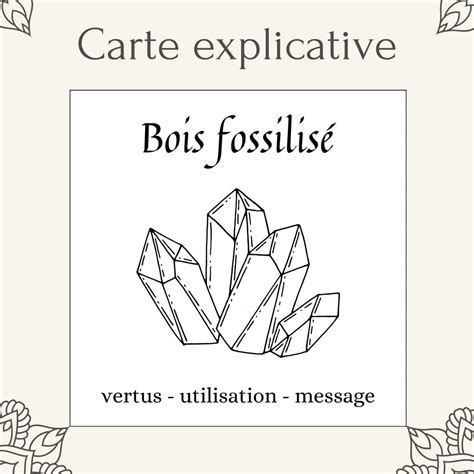 Carte lithothérapie Bois fossilisé Kurma ch