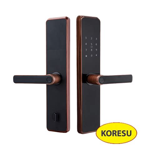 Khóa Cửa Chống Trộm Hiện Đại Thông Minh Điều Khiển Từ Xa CÔng Ty Tnhh