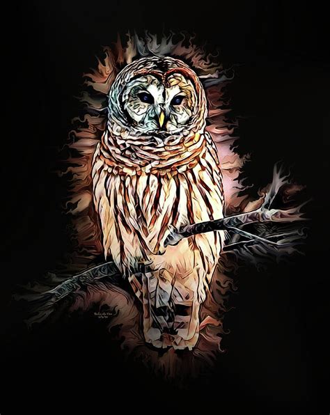 Barred Owl Digital Art By Artful Oasis Fine Art America