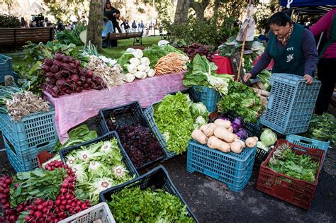 Agricultores Familiares Clave Para Lograr El Hambre Cero Argentina