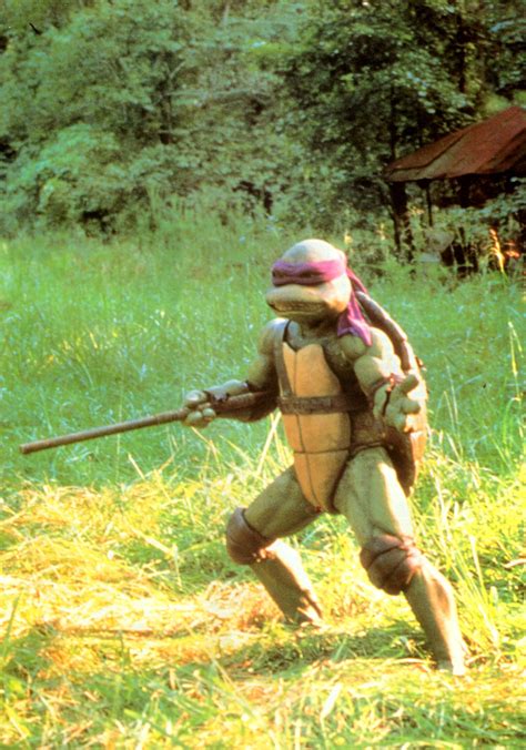 Donatello Ninja Turtles Photo 33868148 Fanpop