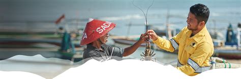 Our Approach Sumbawa Timur Mining