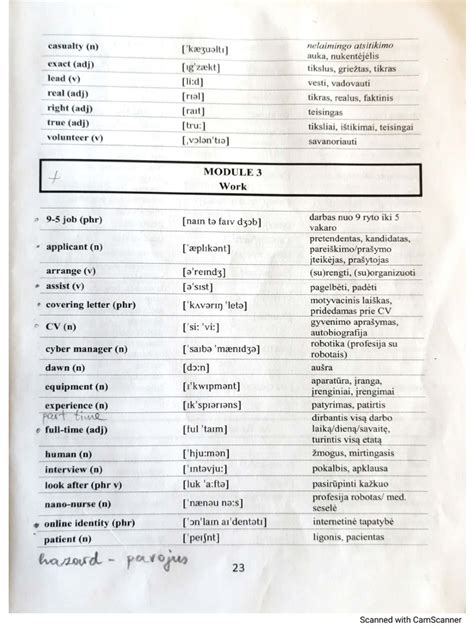 B1 Plus Module 3 Vocabulary Pdf