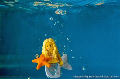 Lego Minifigures in the Wild: Lego Minifigure Series 9 Mermaid - Wallpaper