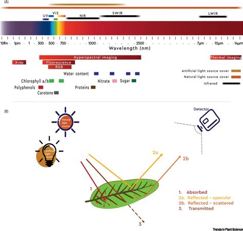 Applications Of Hyperspectral Imaging In Plant Phenotyping Trends In Plant Science