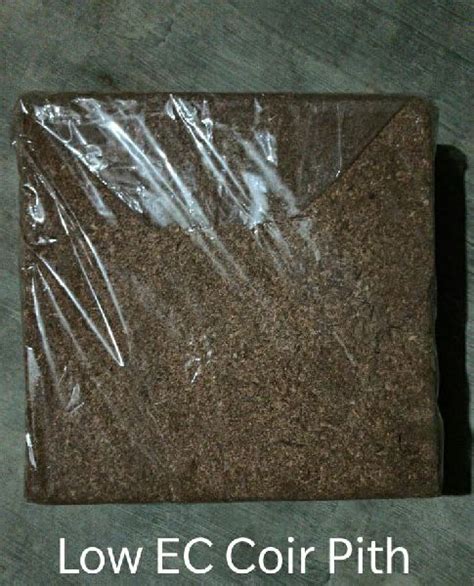 Rectangular Low Ec Coir Pith Block Size X Inch Color Brown At