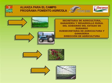 Ppt Alianza Para El Campo Programa Fomento Agricola Powerpoint