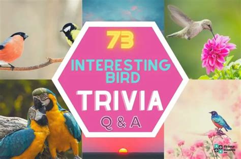 64 Work Trivia Questions And Answers Group Games 101