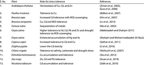 Roles Of Metallothioneins Mt In Plants Under Multiple Abiotic