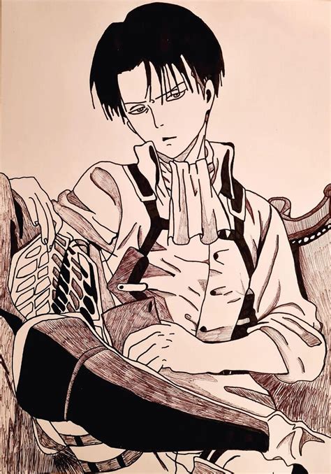 Levi Ackerman Drawing Fandom