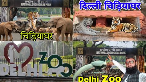 Delhi Zoo दिल्ली चिड़ियाघर National Zoological Park Delhi India