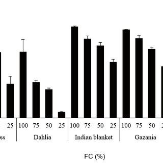 The Leaf Relative Water Content Rwc Of Some Bedding Ornamental Plants