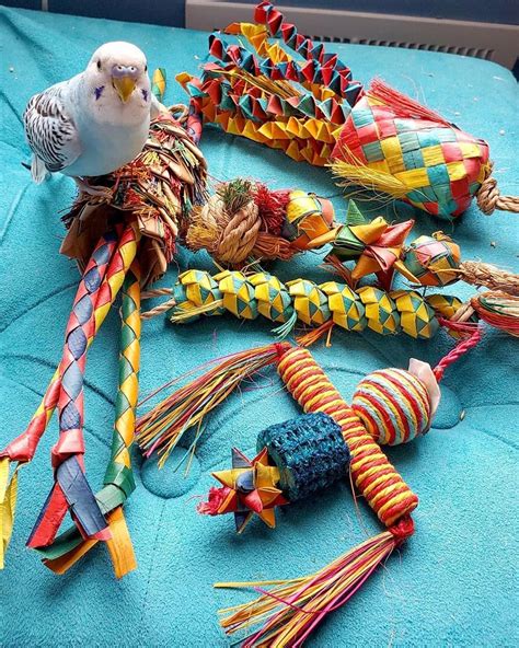 How To Make Bird Toys Out Of Household Items Tenisha Holm