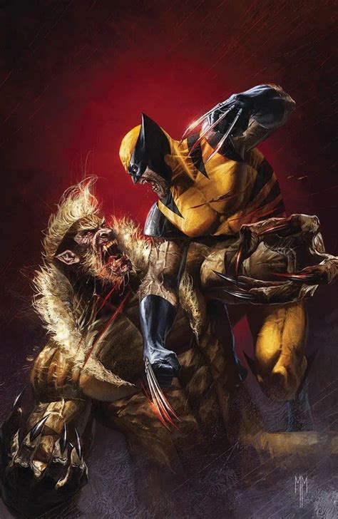 Wolverine Sabertooth In 2024 Wolverine Marvel Art Wolverine Comic