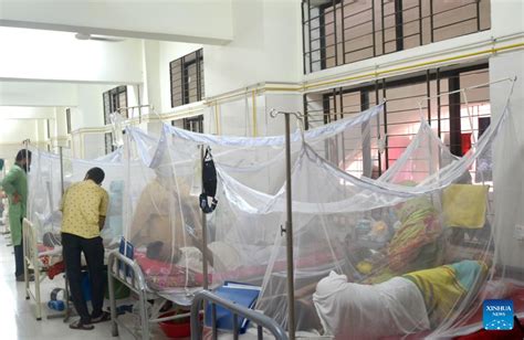 Over 9000 Cases Of Dengue Reported In Bangladesh In September Xinhua