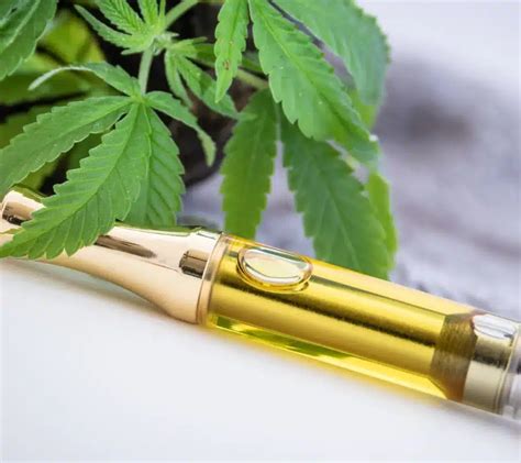 Le Shop Vente En Ligne CBD Pour Vos Achats CBD CBD Shop En Ligne