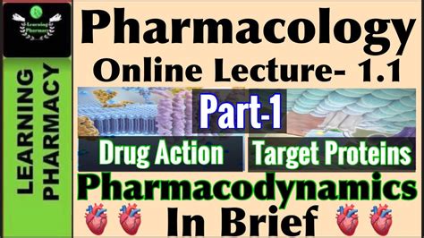 Part 1 Pharmacology CH 1 1 Pharmacodynamics In Brief Drug Action