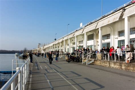 Divlje Svinje Banule U Beton Halu Snimak Koji Su Svi Zbunjeno Gledali