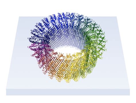 Pore Forming Proteins And Host Pathogen Interactions