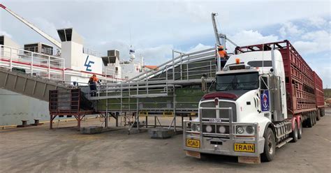 Qld Labor Pushes To Ban Live Cattle Exports By 2030 Queensland