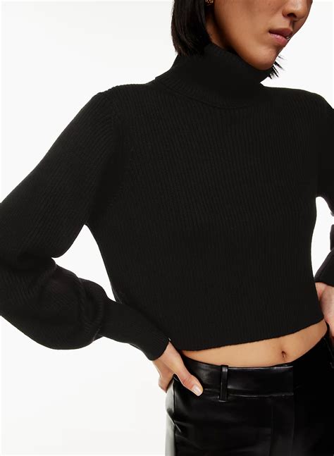 Wilfred Rebecca Turtleneck Aritzia Us