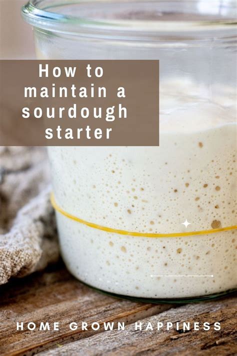 How To Maintain A Sourdough Starter Sourdough Bread Sourdough